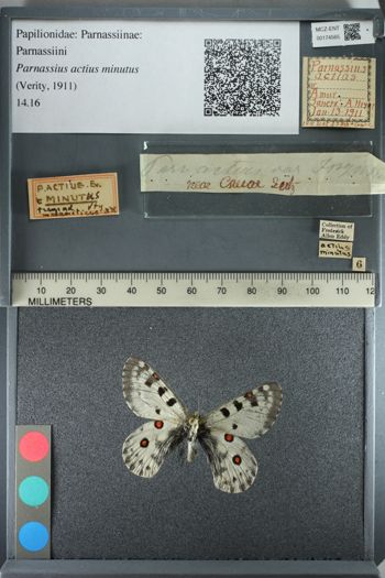 Media type: image;   Entomology 174565